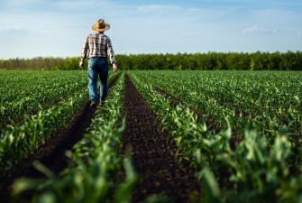 Farming