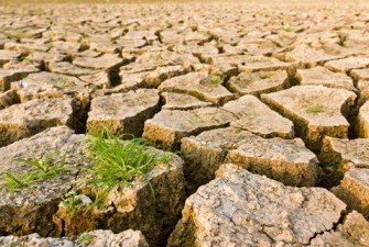 Climate Change