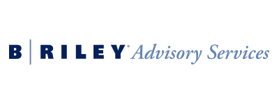 Sector Logo B Riley Advisory